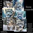 WHITE SNOW LEOPARDS, BUNDLE, CARD FRONTS, CLIPART, SUBLIMATION, AFRICAN ELEPHANT, PNG