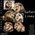 LIONS, AFRICAN, SAFARI, BUNDLE, CARD FRONTS, CLIPART, SUBLIMATION, AFRICAN ELEPHANT, PNG
