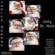 CHRISTMAS, SANTA, SANTA CLAUS, ST. NICK, BUNDLE, CARD FRONTS, CLIPART, SUBLIMATION, AFRICAN ELEPHANT, PNG