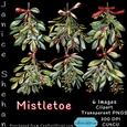 MISTLETOE, RIBBONS, CHRISTMAS, CLIPART, SUBLIMATION, CARDS, 