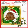 Christmas Kitty Kitten Cat Persian