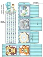 GENDER REVEAL BOX BABY BOY SHOWER