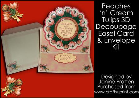 Peach Tulips in Scalloped Frame Easel Card and Envelope Kit