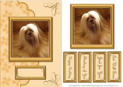 Gold Lhasa Apso Card Front with Layers