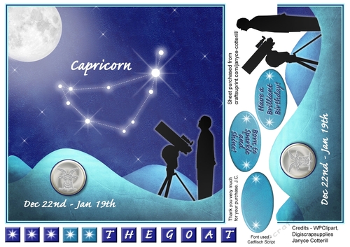 Capricorn Star Constellation Dec 22nd - Jan 19th