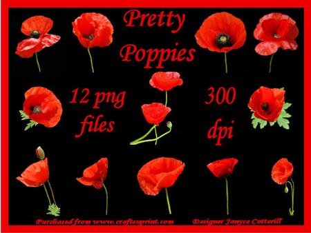 Pretty Poppies