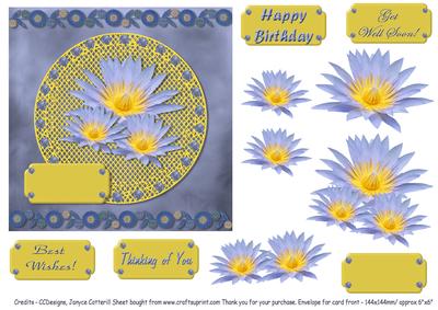 Water Lily Delight Quick Card