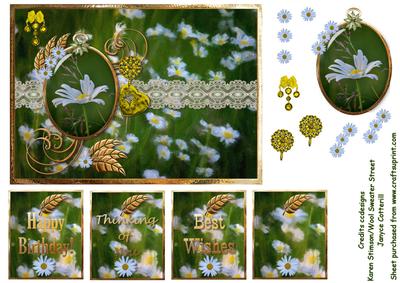 Designs on a Daisy