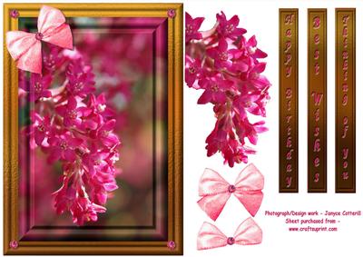 Flowering Spring