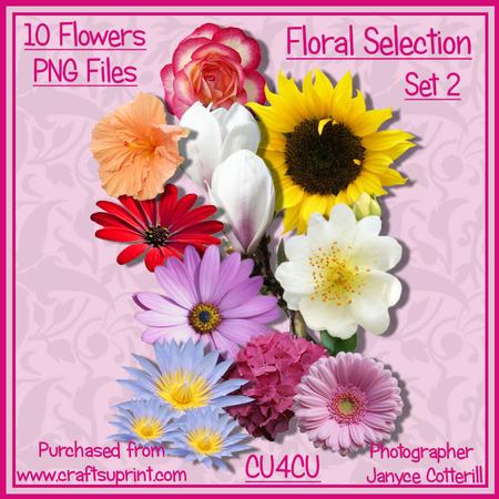 Floral Selection Set 2 Cu4cu