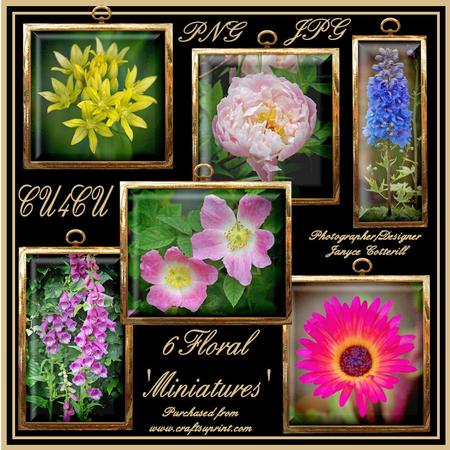6 Floral 'miniatures' Cu4cu