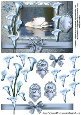 Graceful and Elegant - the Swan