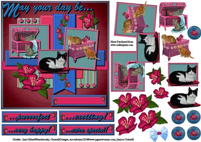 Crazy for Cats!