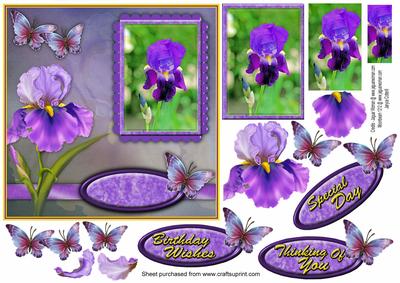 For the Love of Iris