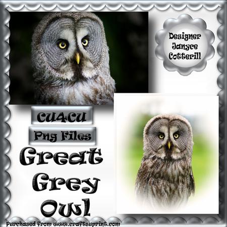 Great Grey Owl Cu4cu
