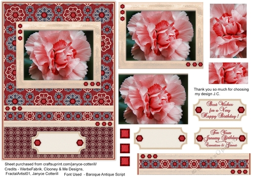 Birthstone and Birth Flower - January