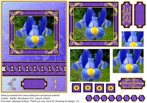 Birthstone and Birth Flower - February