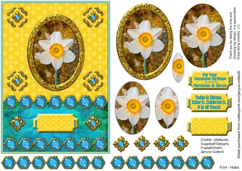 Birthstone and Birth Flower - December