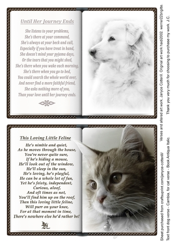 Female Dog and Male Cat Verse Open Book Topper
