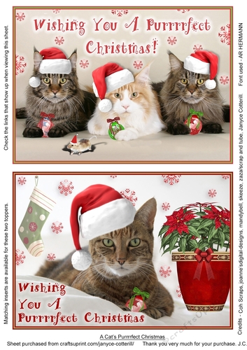 A Cats Purrrrfect Christmas