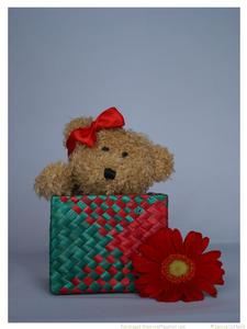 Teddy in Basket 2