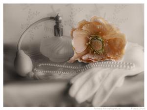 The Perfume Bottle & Poppy