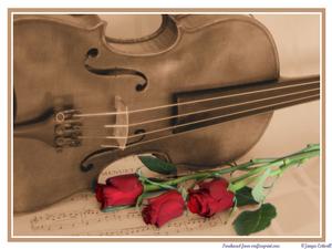 Vintage Violin
