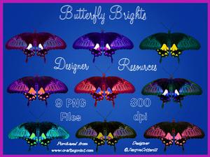 Butterfly Brights
