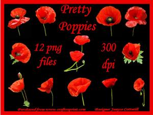 Pretty Poppies
