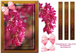 Flowering Spring