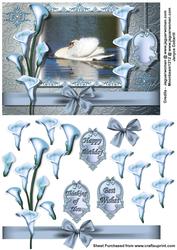 Graceful and Elegant - the Swan