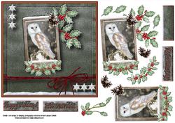 Snowy Owl
