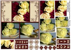 Roses for You