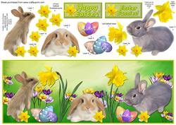 Easter Bunnies!
