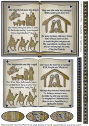 The Nativity Story Book