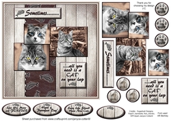 Sometimes.....Cats