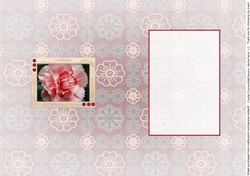 Birthstone and Birth Flower - January Insert