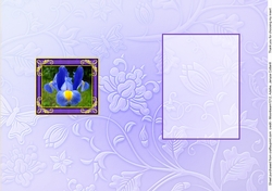 Birthstone and Birth Flower - February Insert