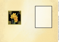 Birthstone and Birth Flower - March Insert