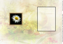 Birthstone and Birth Flower - April Insert