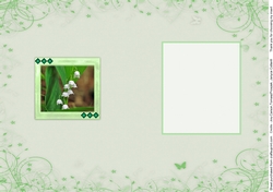 Birthstone and Birth Flower - May Insert