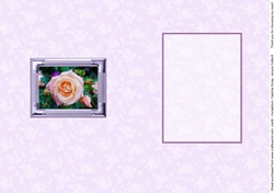 Birthstone and Birth Flower - June Insert