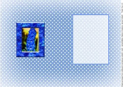 Birthstone and Birth Flower - July Insert