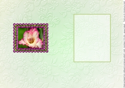 Birthstone and Birth Flower - August Insert
