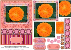 Birthstone and Birth Flower - October