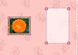 Birthstone and Birth Flower - October Insert