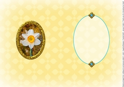 Birthstone and Birth Flower - December Insert
