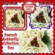 Peacock Butterfly Selection Two Cu4cu