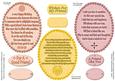 Three Friendship Birthday Verse Toppers (with Sentiments)