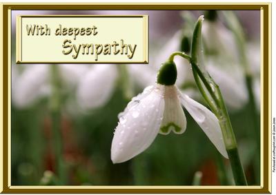 Snowdrops Sympathy Card.
